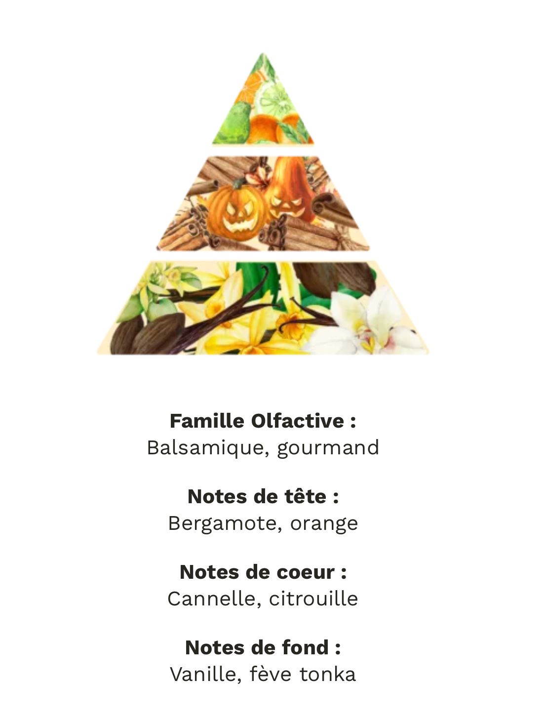 Fondant parfumé « citrouille givrée » tablette